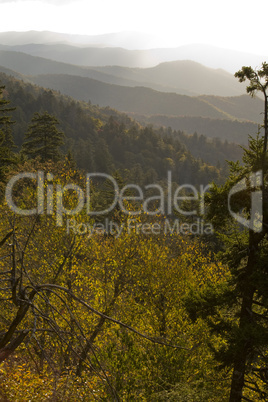 Autumn, Great Smoky Mountains NP