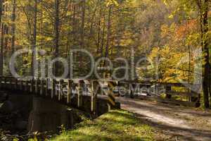 Bridge, Tremont, Smokies NP, TN