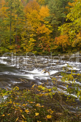 Autumn, Tellico River, Cherokee NF