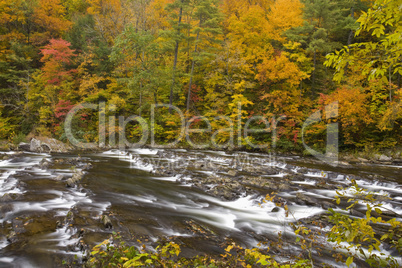 Autumn, Tellico River, Cherokee NF