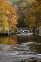 Autumn, Tellico River, Cherokee NF