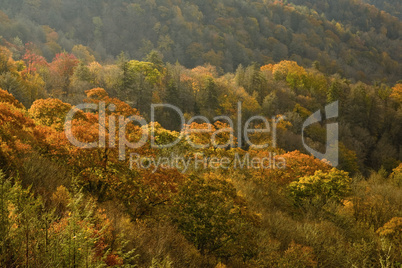 Autumn, Great Smoky Mtns NP