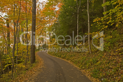 Autumn, Motor Nature Trail, Smokies