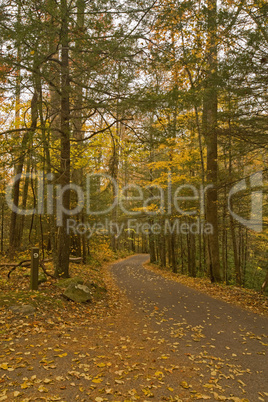Autumn, Motor Nature Trail, Smokies