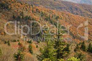 Autumn, Blue Ridge Parkway