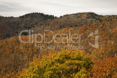 Autumn, Blue Ridge Parkway