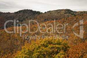 Autumn, Blue Ridge Parkway