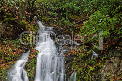 Stream, Oconaluftee area