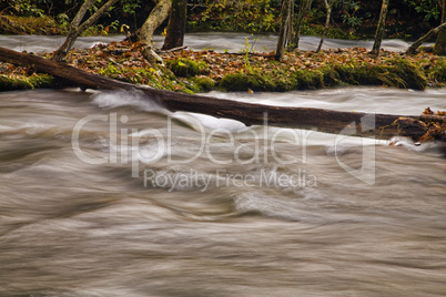 Oconaluftee area, Great Smoky Mtns