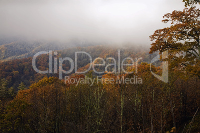 Autumn, Great Smoky Mountains NP