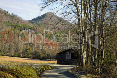 Autumn, Cataloochee Cove