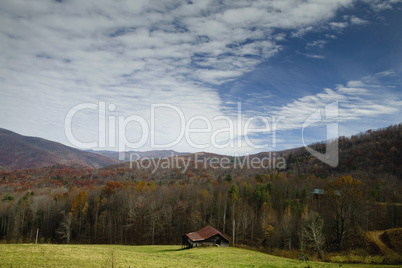 Autumn, Pisgah NF, NC