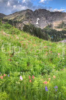 Wasatch Mountains Utah