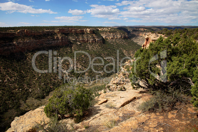 Navajo Canyon Mesa Verde Natl Park