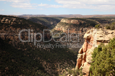 Navajo Canyon Mesa Verde Natl Park