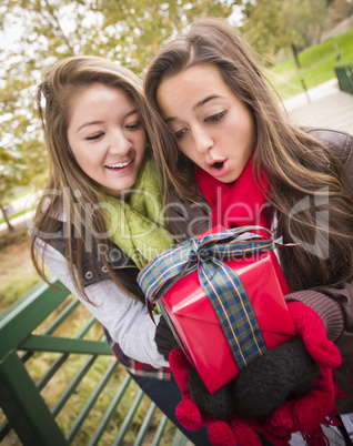 Mixed Race Women Having Gift Exchange