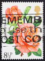 GREAT BRITAIN ? CIRCA 1976: a stamp printed in the Great Britain