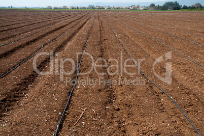 plowed field