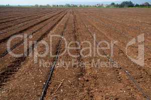 plowed field