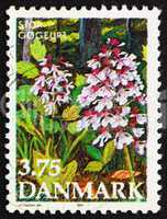 Postage stamp Denmark 1990 Purple Orchis