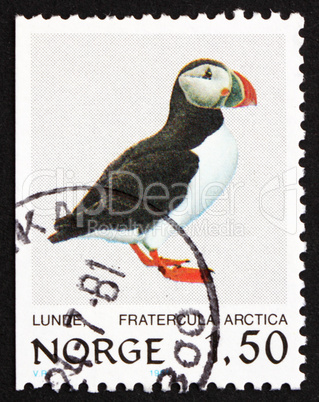 Postage stamp Norway 1981 Atlantic Puffin, Bird