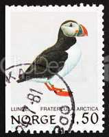 Postage stamp Norway 1981 Atlantic Puffin, Bird