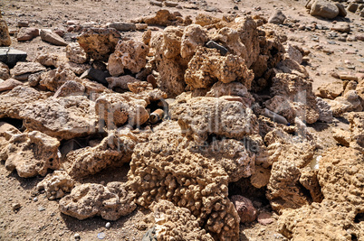 Heap of dead corals