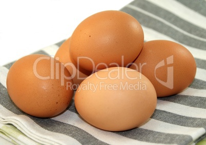 Fresh eggs on dishcloth
