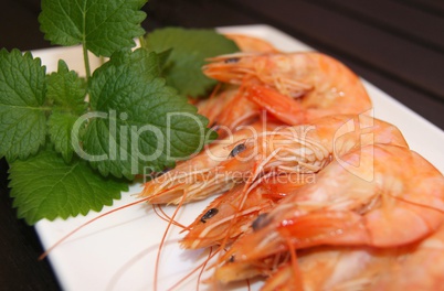 Prawns cooked in a dish