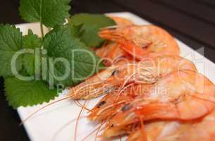 Prawns cooked in a dish