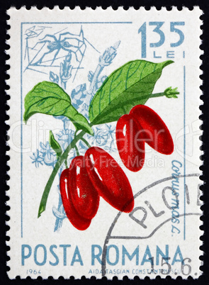 Postage stamp Romania 1964 Cornelian Cherries, Cornus Mas