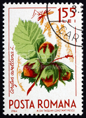 Postage stamp Romania 1964 Common Hazel, Corylus Avelana
