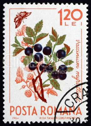 Postage stamp Romania 1964 European Blueberry, Vaccinium Myrtill