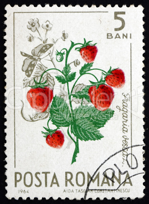 Postage stamp Romania 1964 Wild Strawberries, Fragaria Vesca