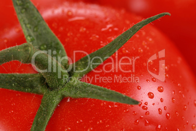 Nahaufnahme einer Tomate mit Wassertropfen