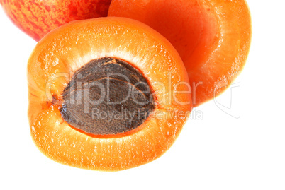 Apricot