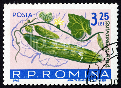 Postage stamp Romania 1963 Cucumbers, Cucumis Sativus, Fruit