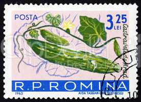 Postage stamp Romania 1963 Cucumbers, Cucumis Sativus, Fruit