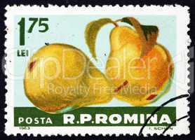 Postage stamp Romania 1963 Pears, Pyrus, Fruit