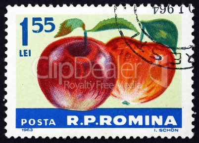Postage stamp Romania 1963 Apples, Malus Domestica, Fruit