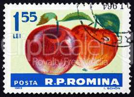 Postage stamp Romania 1963 Apples, Malus Domestica, Fruit