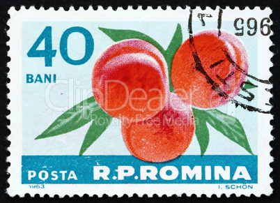 Postage stamp Romania 1963 Peaches, Prunus Persica, Fruit