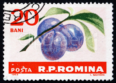 Postage stamp Romania 1963 Plums, Prunus Domestica, Fruit