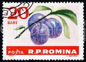 Postage stamp Romania 1963 Plums, Prunus Domestica, Fruit
