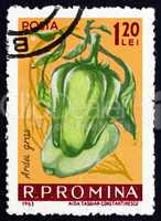 Postage stamp Romania 1963 Mild Peppers, Capiscum