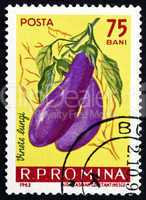 Postage stamp Romania 1963 Eggplant, Solanum Melongena