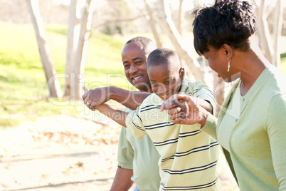 Beautiful African American Family Playing Outside