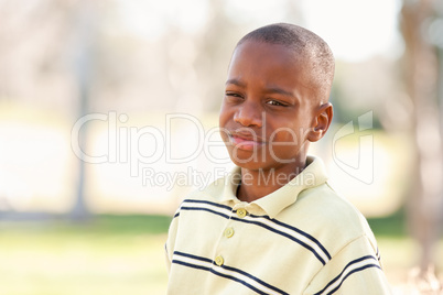 Young African American Boy Playing in the Park