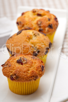 fresh chocolate and raisins muffins