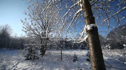 Landschaft im Winter mit Schnee